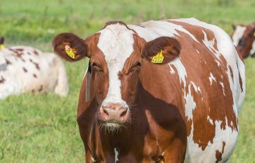 Biolan Kuivike-Appin käyttöönotto