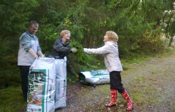 Havuja ja valoja syksyyn