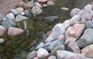 Joulukuista lehtien siivousta