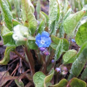 Kevät on täällä taas