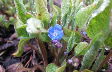 Kevät on täällä taas