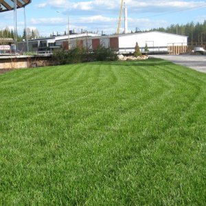 Keväästä kesään