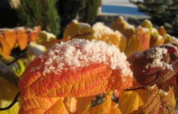 Lokakuinen talvipäivä