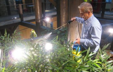 ”Viherpesua” ja viherpesua