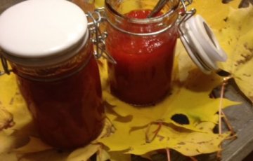 Chili-paprikahillo oman sadon chileistä