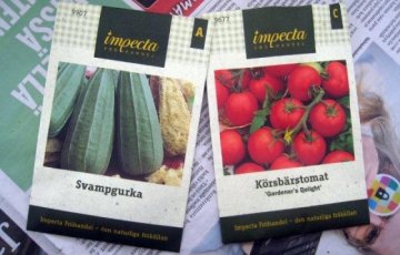 Tomaatin ja pesusienikurkun kylvö