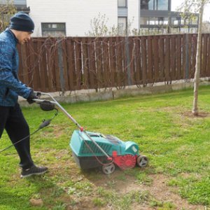 Villen nurmikon kunnostus