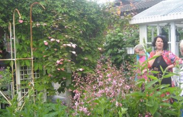 Avoimet puutarhat -satoa