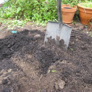 Perennapenkin kunnostus