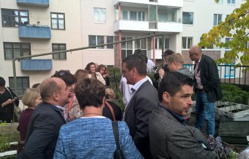 Biohiiltä, mykorritsoja ja muuta hottia