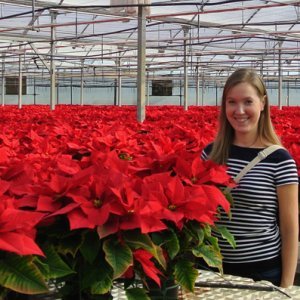 Avarakatseinen ja kielitaitoinen avainasiakaspäällikkö