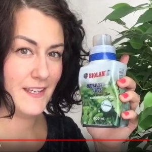 Essin suosikkituotteet talveen