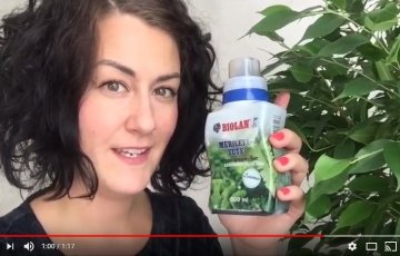 Essin suosikkituotteet talveen