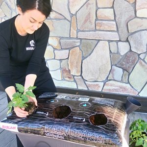 Helppoa kasvatusta Kasvusäkissä