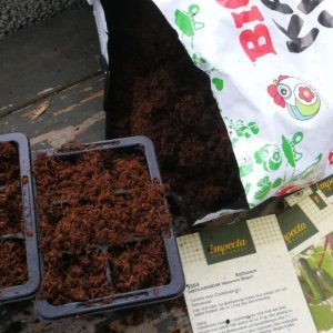 Vielä ehtii aloittaa taimikasvatuksen