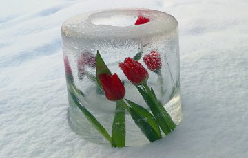 Koristeita lumesta ja jäästä