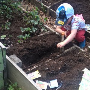 Siimapuiston päiväkodin lapset esikasvattavat taimet omalle palstalleen