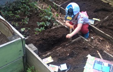 Siimapuiston päiväkodin lapset esikasvattavat taimet omalle palstalleen