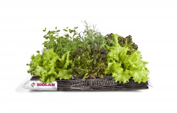 Uutuustiedote: Biolanin puutarhauutuudet keväällä 2017