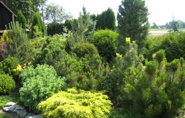 Kiire syksyisessä puutarhassa saattaa olla kohtalokasta