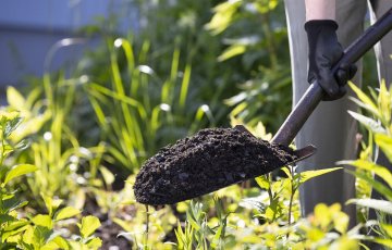 Hyödynnä ravinteikas käymäläjäte puutarhassa