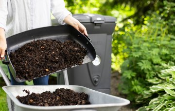 Oman kompostorin multa hyötykäyttöön – näin vältät syyslevityksen riskit