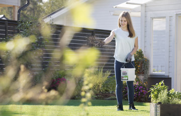 Kunnosta lumen alta paljastuva nurmikko
