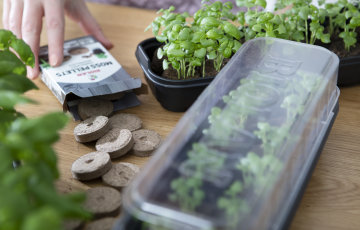 Taimien esikasvatuksen voi jo aloittaa – kylvä siemenet sammaleeseen