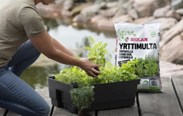 Uutuus: Biolan Yrttimulta