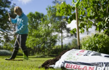 Nurmikko ei säily edustavana ilman hoitoa