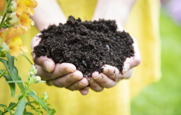 Tutkimus: Jo kolmannes haluaa luopua turpeesta mullan raaka-aineena – Suurin osa suomalaisista toivoisi kierrätysraaka-aineiden hyödyntämistä