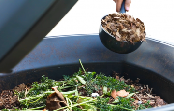 Biojätteen jätemaksuissa satojen eurojen kuntakohtaiset erot