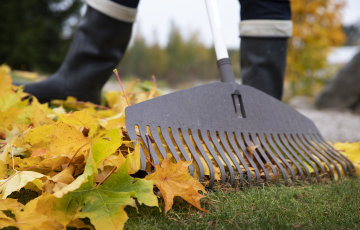 Valmistele mökkipiha talveen