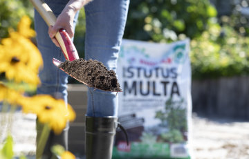 Syksy on jopa parempi istutusaika kuin kevät