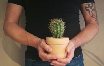 Kysely: Miehet syttyvät hitaammin uusille huonekasveille kuin naiset