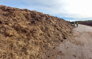 Biolan kompostoi rantojen ruokokasvustosta multaa