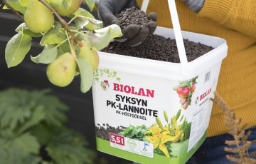 Nyt on viimeinen hetki varmistaa ensi kesän kukinta ja sato