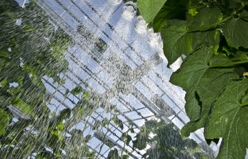 Kurkkuhuoneesta kerätyllä hukkalämmöllä lämmittäisi lähes 500 omakotitaloa