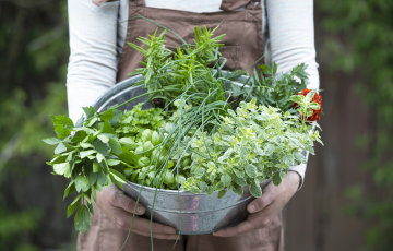 Kysely: Sadonkorjuu on parasta – kitkeminen tylsää