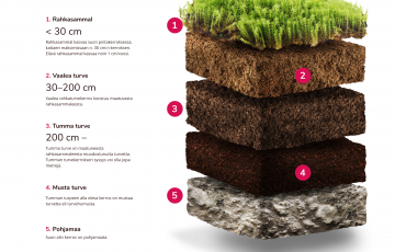 Sammaleen keruukausi jatkuu pakkasiin asti