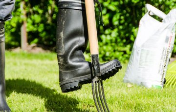 Anläggning av köksväxtland