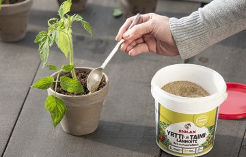 Yrtti- ja taimilannoite valmistetaan sirkkalannasta