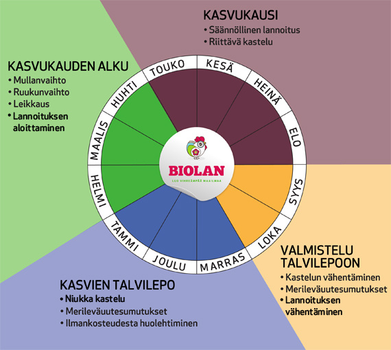 Tietoa huonekasvien ympärivuotisesta hoidosta