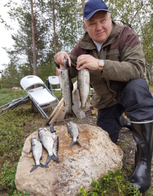 Liiketoimintajohtaja Timo Räihä esittelee kalastamiaan kaloja