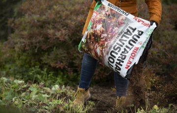 Suojaa arat perennat ja köynnökset Talvisuojalla