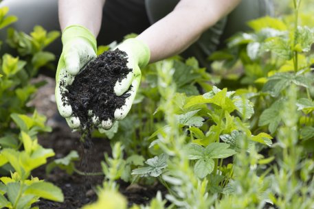 Biolan Maanparannushiili