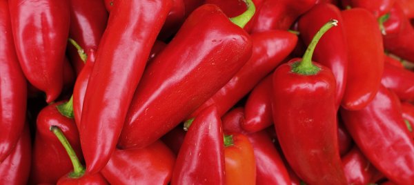 Chili