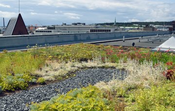 Kattopuutarha tuottaa elämyksiä ja vähentää ilmastonmuutoksen haittoja
