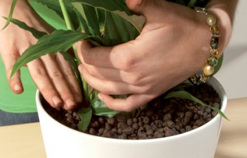 Vad har man för nytta av Lättgrus?