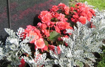 Istuta kukkia haudalle